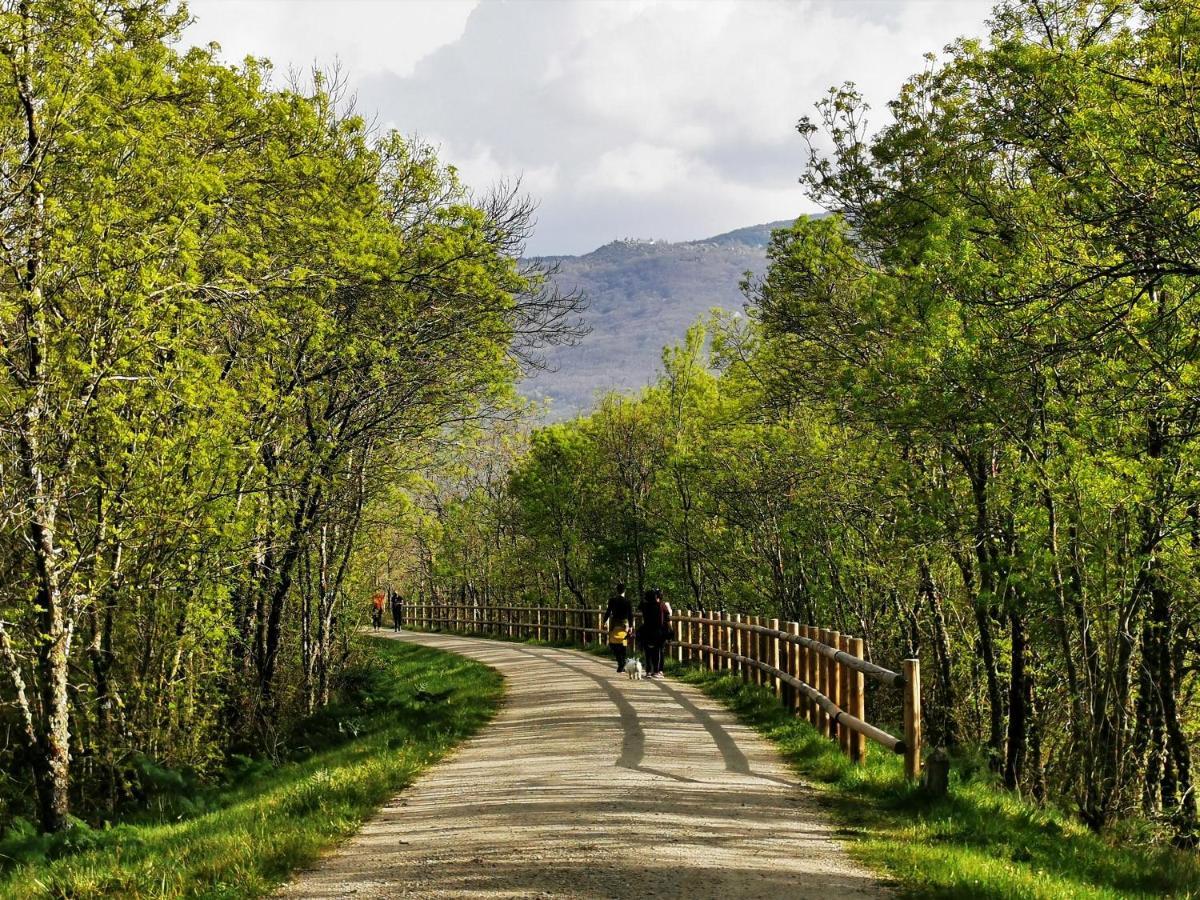 El Triskel De Chumbea, Alojamiento Excepcional Con Maravillosas Vistas A 5Km De Bejar Navalmoral de Bejar Exteriör bild